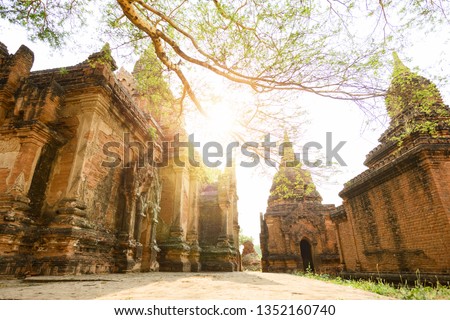 Close-up view of one of the many temples in Bagan (formerly Pagan) during sunset. A beautiful tree frames the picture with its trunk. The Bagan Archaeological Zone is a main attraction in Myanmar.