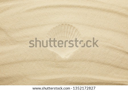top view of sandy beach with seashell print in summertime 