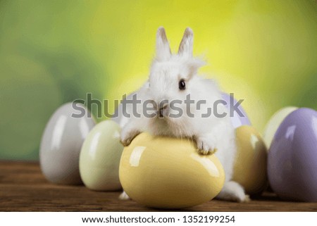 Happy easter, Baby bunny, rabbit and egg on green background