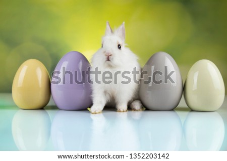 Little cute baby rabbit and easter eggs