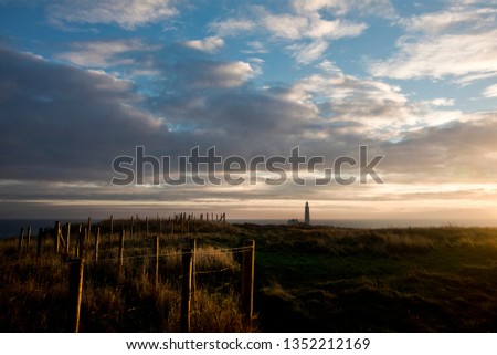 Early morning winter sunshine on the cliff tops near St Mary's Island in North East England picking out the fence posts and leading the eye to the lighthouse on the horizon.
