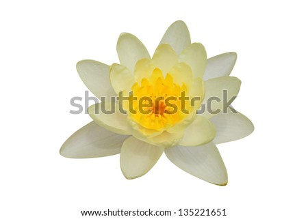 Lotus flower isolated on white Ã¢Â?Â? clipping path included