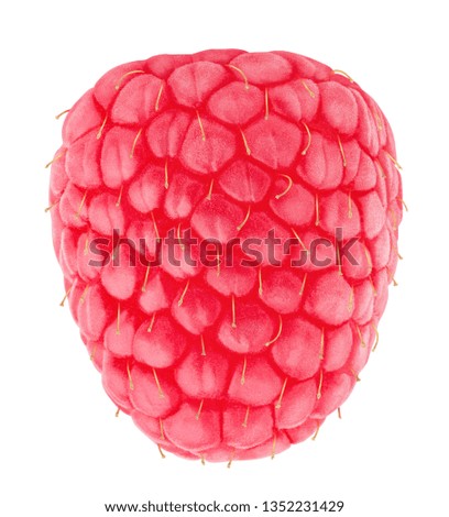 Ripe single raspberry isolated on a white. Full depth of field.
