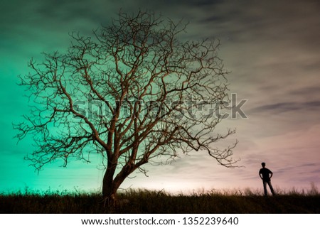 the man stand under the tree in the night