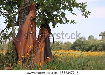  Well used soft brown leather chaps hanging under a green tree with yellow flowers in a field. The sky is a light blue, there are green trees in the background.  Field is full of the yellow flowers.
