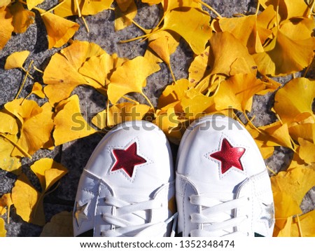 My footstep on fallen yellow ginkgo leaves in autumn. Autumn and yellow leaf background concept, free space for text.