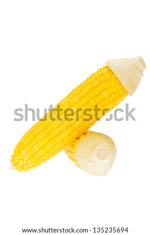 boiled corn on white background
