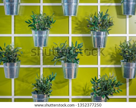 Artificial colourful flower pots hanging on a wall