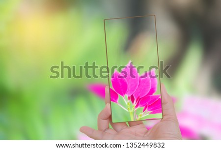 Hand holding mobile phone and take a photo colorful  flowers on blurred background with sunlight.