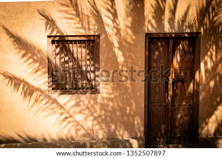 A palm is throwing its beautiful shade on the front of a house in UAE, Al Ain.