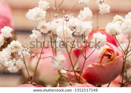 Roses dried flowers Interior decoration Limited depth of field Close-up
