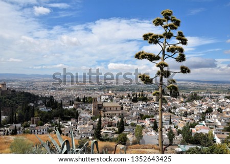 Granada in spring