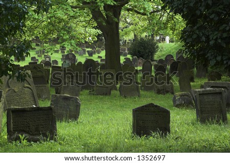   Oldes Jewish cementery in Europe Worms ,Germany(see more on gallery)