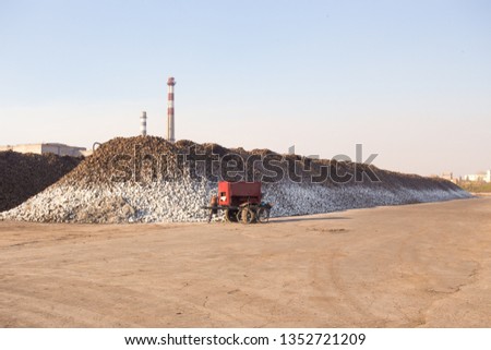 The theme of agriculture and food production. Warehouse sugar beet at the plant a large pile outside the premises of a sunny day against the sky