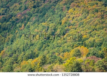 Beautiful landscape of mountain around maple and other tree in autumn season