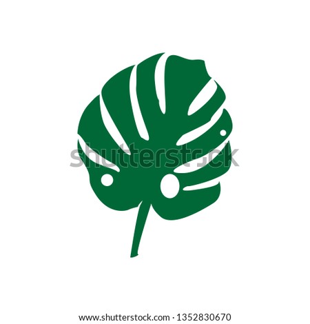 Vector. Tropical plant monstera isolated on white background