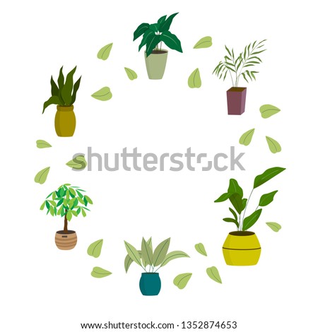 Set of houseplant and plant care tool. Palm tree, watering can, sciissors, pruner, pulverizer.  Cartoon vector illustration in flat style