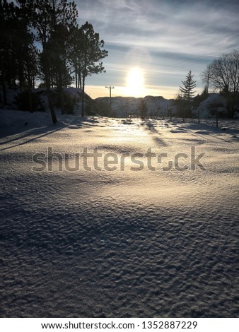 Winter in Norway, vegetation covered with snow. The sun is low over the horizon, flares from reflections. Ice icicles hanging from rocks. Transparent layers of ice, edges blurred, snow-covered coast.