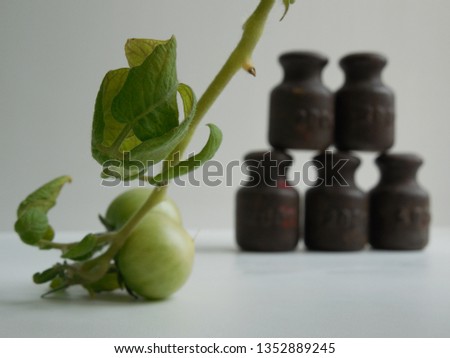 Blurred background with a branch with green tomatoes and with old Soviet weights weighing 200 grams each to trade on scales.
