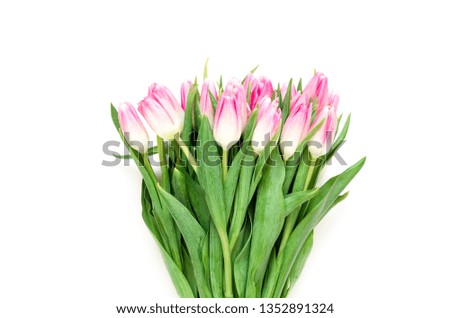 Floral background with tulips flowers on white background. Flat lay, top view. Lovely greeting card with tulips for Mothers day, wedding or happy event - Image.