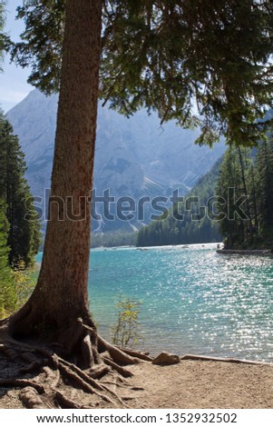 Lake Prags, Dolomites Alps, South Tyrol, Italy, called Pragser Wildsee