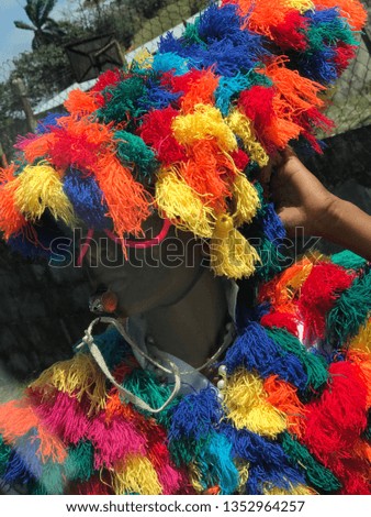 Colorful picture of a kid dress up in Carnaval costumes