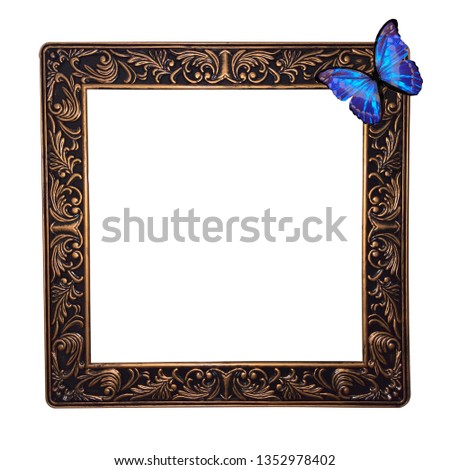 frame with butterfly isolated on white background