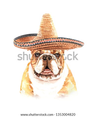 Portrait bulldog of a dog. Watercolor hand drawn illustration.Watercolor bulldog with Mexican hat layer path, clipping path isolated on white background.