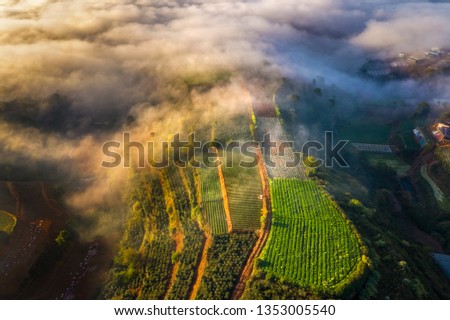 Aerial view of vegetables field in the cloud and fog, at Trại Mát, Đà Lạt, Vietnam. Near provincial route 723 from Da Lat city to Nha Trang city.