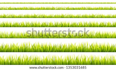 Grass banner. Cereal sprouts. Springtime growth greenery. Green turf overlay stripes.