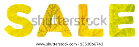 The word sale which is composed of the letters carved of autumn leaves, isolated on white background, closeup