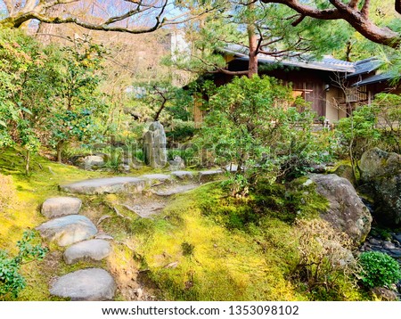Garden in Kyoto of Japan