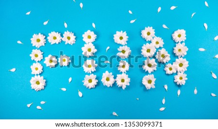 Word fun made of white daisy flowers