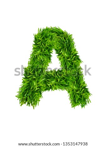 English alphabet and letters of grass. Letter A made of fresh green grass isolated on white background 