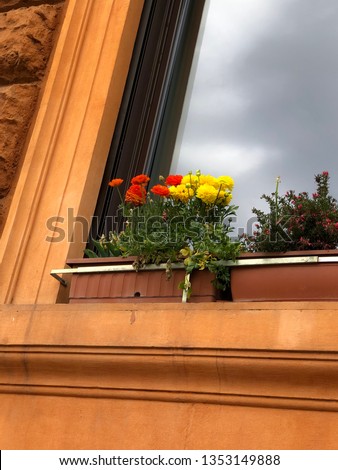Angel view of colorful flowers on a window seal with a window reflecting a cloudy sky.