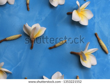 Spa massage room decorated with red flowers And pink with towels On a blue marble tile background