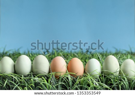 Natural colored Easter eggs in grass against a blue background with room for copy space. 