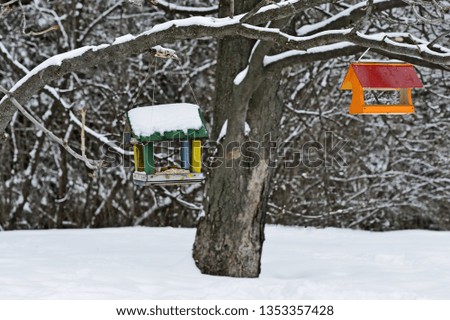 Two wooden small mangers for birds and squirrels hanged up on tree at winter snowbound city park. Protection of animals and care about them.