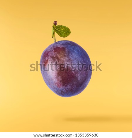 Flying in air fresh ripe Plum with leavs isolated on pastel yellow background. High resolution image