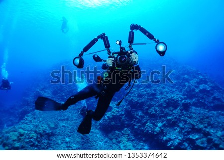 palau scuba diving                              