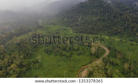 Aerial view of Borneo jungle, Tropical rainforest view in Malaysia. Degraded area of forest area after logging activities in past year.