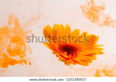 Yellow flower inside water on the orange and red background whith yellow acrylic paints. Watercolor style and abstract spring image of astra.