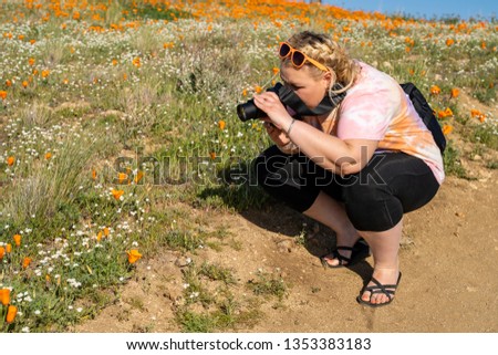 Adult woman takes photos with a camera at the Antelope Valley Poppy Reserve in California during the superbloom