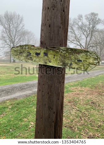 Mossy weathered board nailed to utility pole on gray day in spring