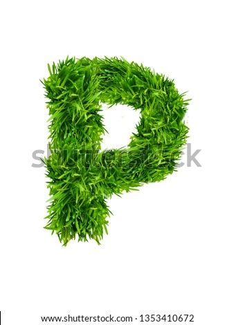 English alphabet and letters of grass. Letter P made of fresh green grass isolated on white background 