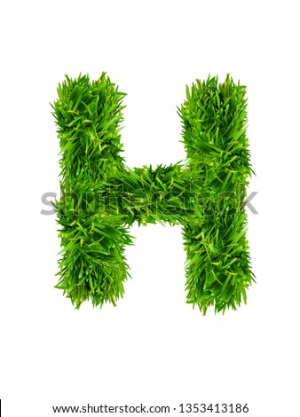 English alphabet and letters of grass. Letter H made of fresh green grass isolated on white background 