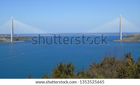 bridges and nature