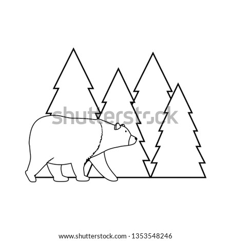 pines trees forest scene with bear grizzly