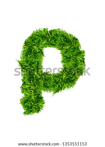 English alphabet and letters of grass. Lowercase letter P made of fresh green grass isolated on white background 