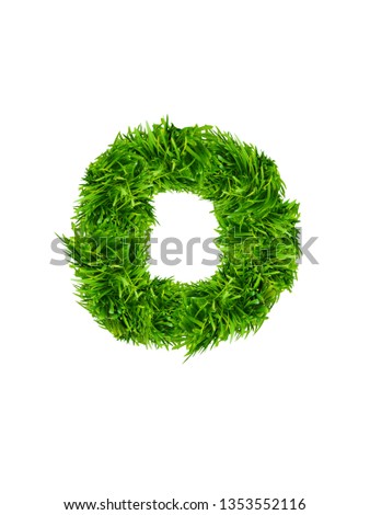English alphabet and letters of grass. Lowercase letter O made of fresh green grass isolated on white background 